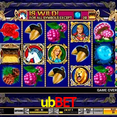 Descubra o Mundo do Cassino Online com ubbet